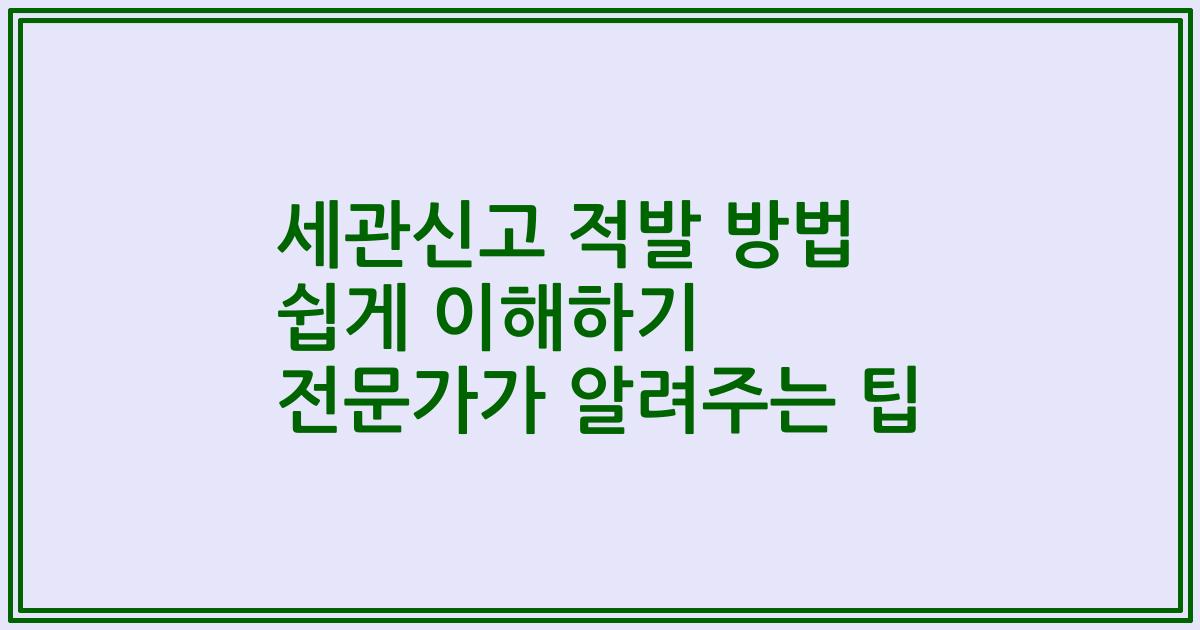 세관신고 적발 방법 쉽게 이해하기 전문가가 알려주는 팁